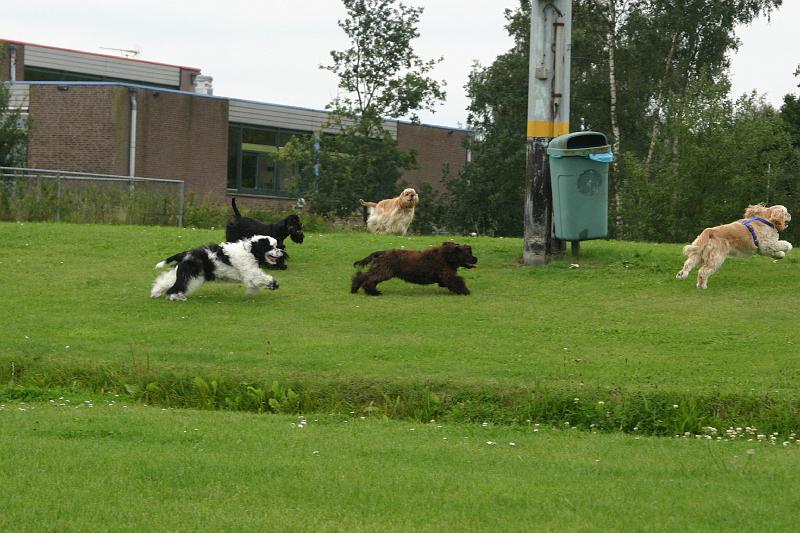 JH dag 2008 015d.jpg